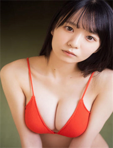 傲慢与偏见2005