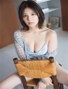 绿皮书国语